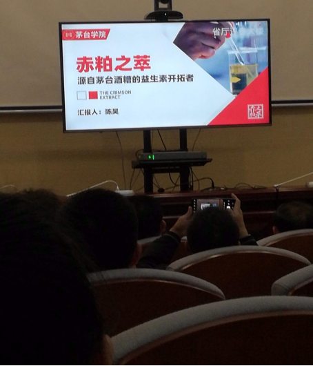 宾果